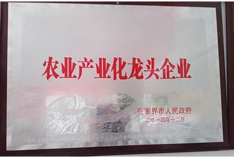 張家界千總生態(tài)食品有限公司,豆類食品生產(chǎn)加工銷售,血豆腐生產(chǎn)加工銷售,豆奶生產(chǎn)加工銷售